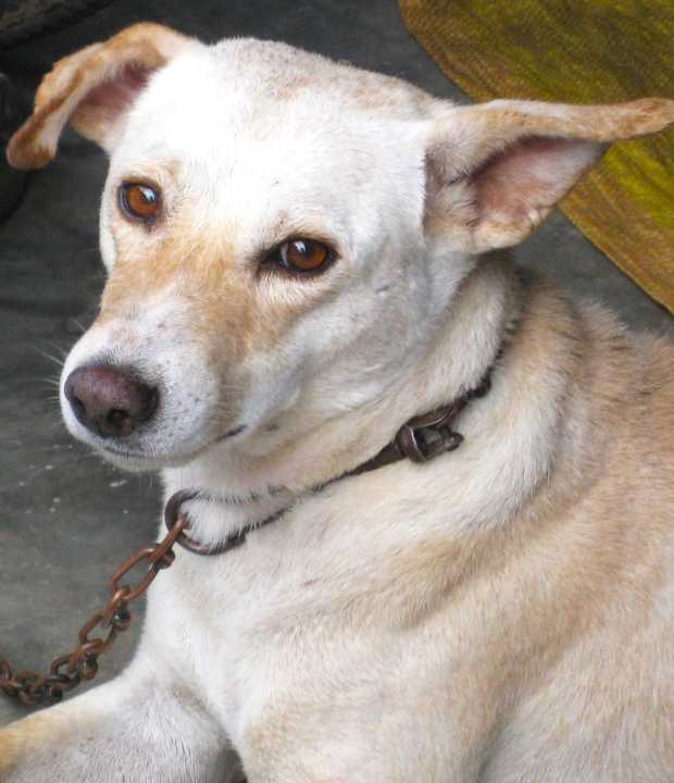 Childhood Flashback - Image 7